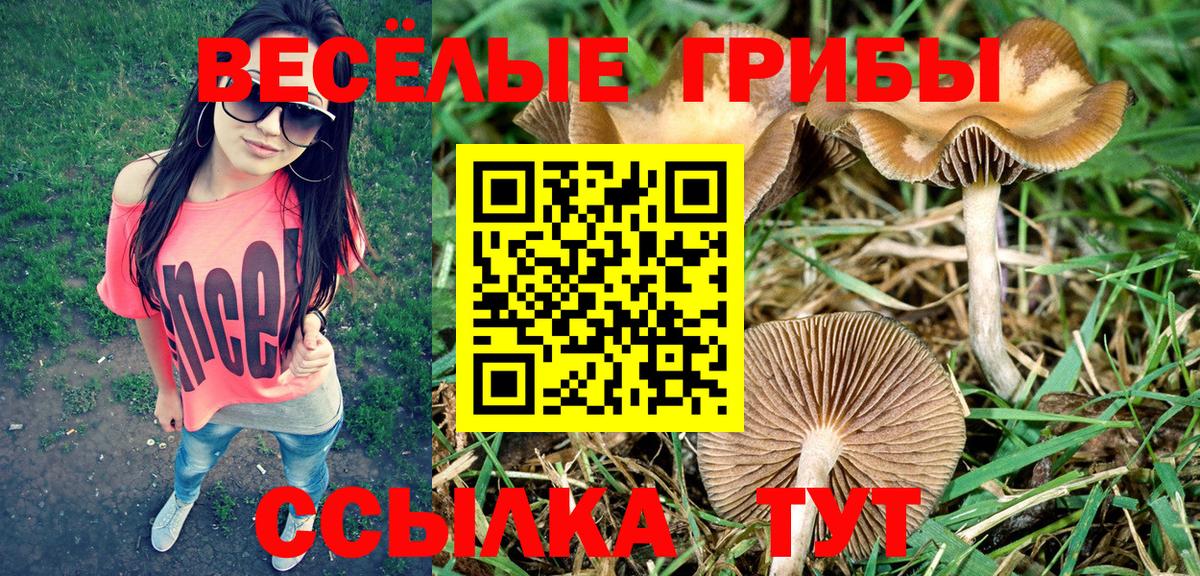 Галлюциногенные грибы мицелий  Вход с VPN  купить наркотик  Сарапул 