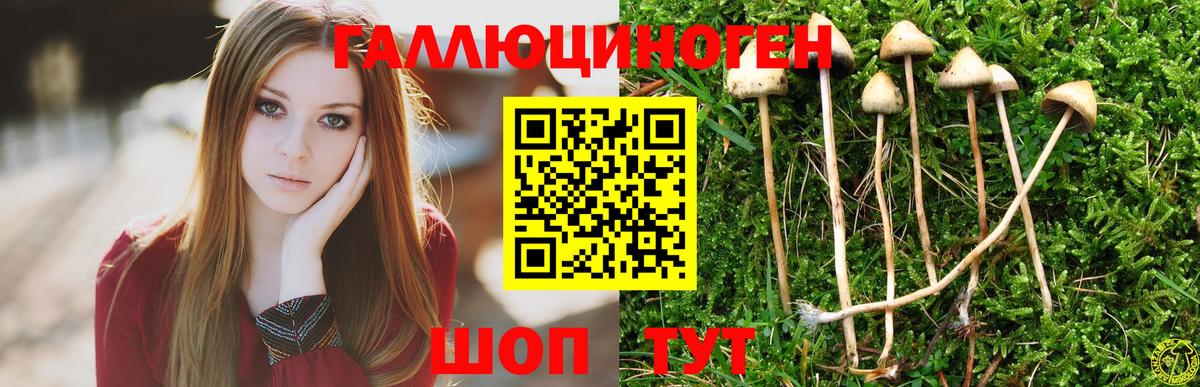 Псилоцибиновые грибы MAGIC MUSHROOMS Сарапул
